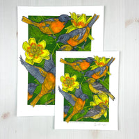 A Pitch of Orioles - Archival Print