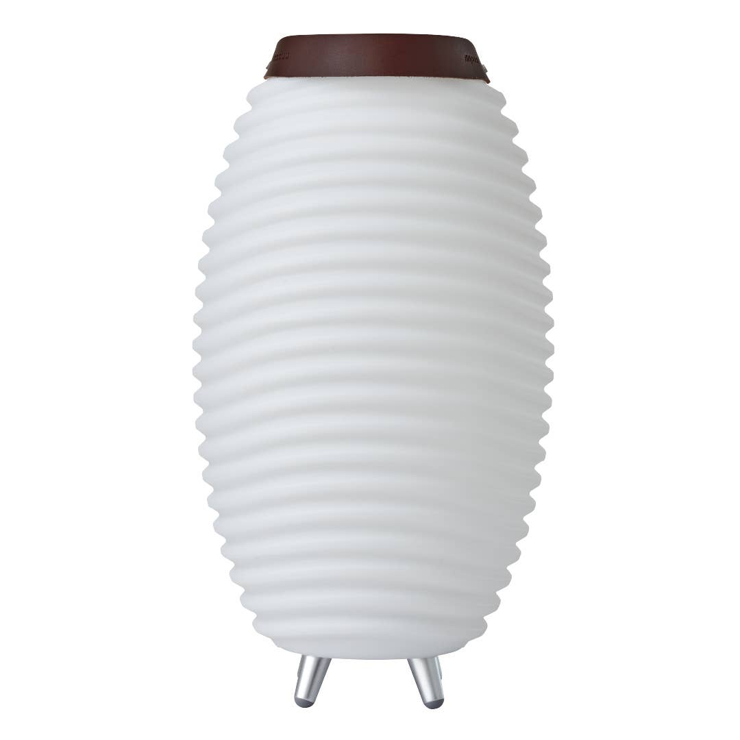 Synergy 50: speaker, lamp & wine cooler
