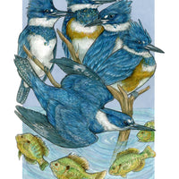 A Realm of Kingfishers - Archival Print