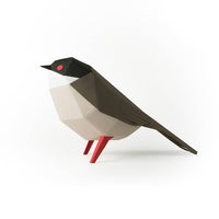 Sardinian Warbler Bird 3D Paper Figure Kit