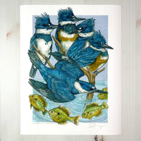 A Realm of Kingfishers - Archival Print