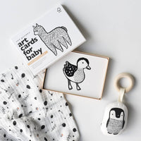 Little Naturalist Baby Animals Gift Set