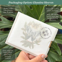 Dandelion Plantable Wildflower Seed Card