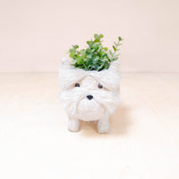 Baby Westie Planter