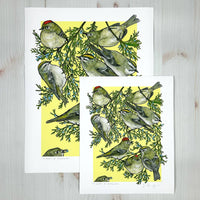 A Court of Kinglets - Archival Print