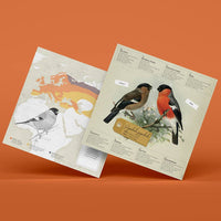 Bullfinch Bird 3D Paper Figure Kit