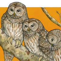 A Parliament of Owls - Archival Print