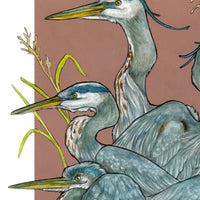 A Siege of Herons - Archival Print