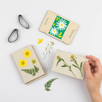 Pocket Flower Press - Daisy