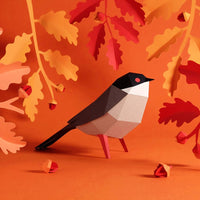 Sardinian Warbler Bird 3D Paper Figure Kit