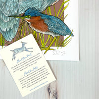 A Siege of Herons - Archival Print