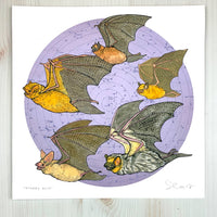 Starry Bats - North American Native Bats with Lilac Background