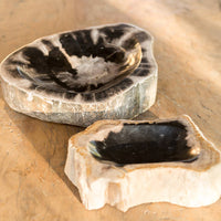 Petrified Wood Bowl