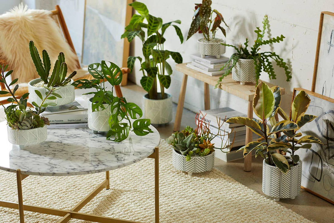 Geometric Planter Cloud Extra Large