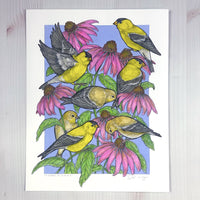 A Charm of Finches - Archival Print