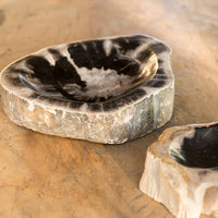 Petrified Wood Bowl