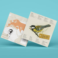 Great Tit Bird 3D Paper Figure Kit