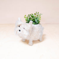 Baby Westie Planter