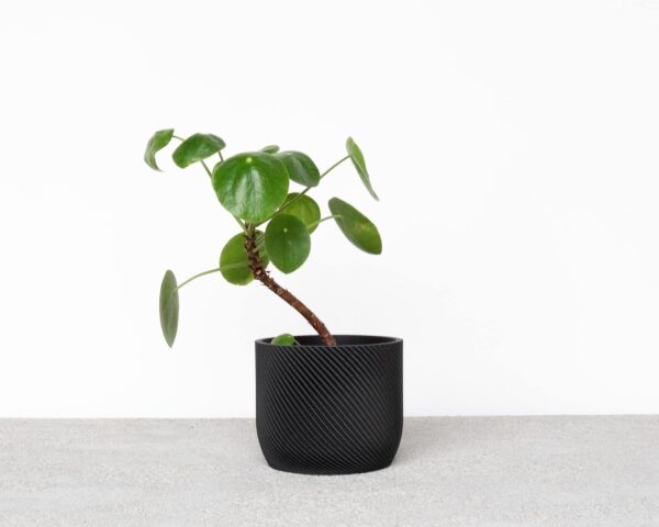 Mini Black 3D Planters