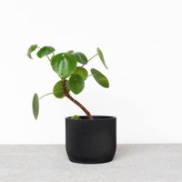 Mini Black 3D Planters