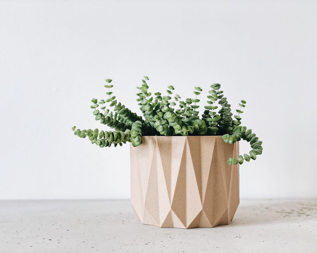 Mini Natural 3D Planters