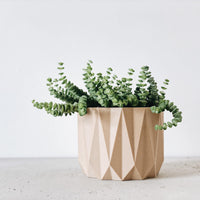 Mini Natural 3D Planters