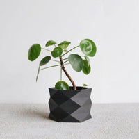 Mini Black 3D Planters