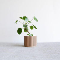 Mini Natural 3D Planters