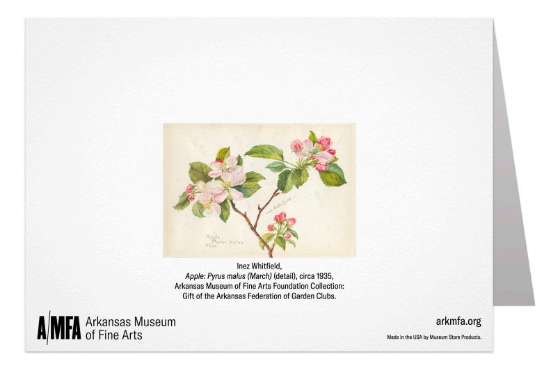 Apple Blossom Notecard