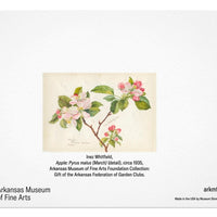 Apple Blossom Notecard