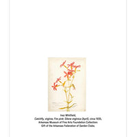 Catchfly Notecard