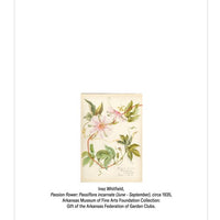 Passion Flower Notecard