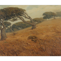 Windswept Notecard