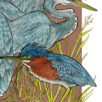 A Siege of Herons - Archival Print