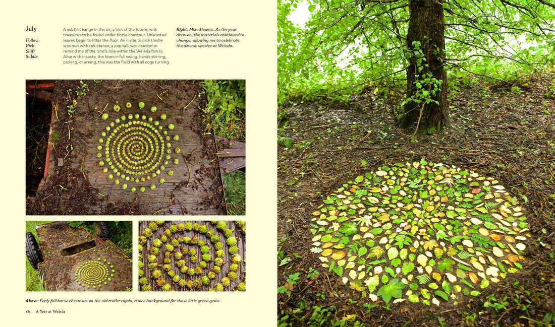 Land Art: Creating Artworks in and with the Landscape
