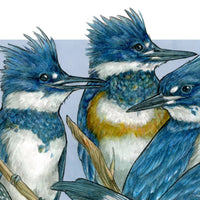 A Realm of Kingfishers - Archival Print