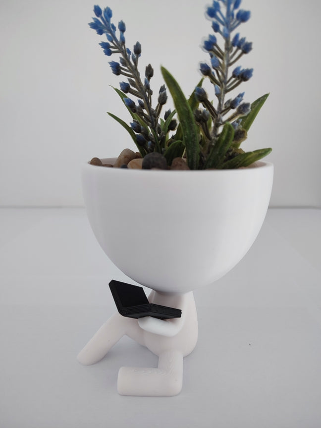 Flowerpot Person