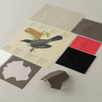 Sardinian Warbler Bird 3D Paper Figure Kit