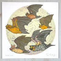 Starry Bats - North American Native Bats with Lilac Background