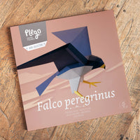 Peregrine Falcon 3D Paper Figure Kit