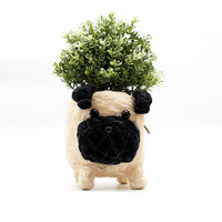 Pug Planter