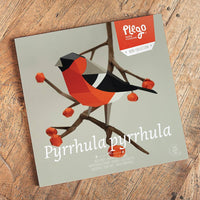 Bullfinch Bird 3D Paper Figure Kit