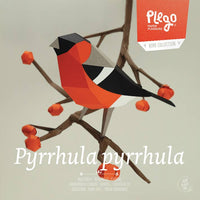 Bullfinch Bird 3D Paper Figure Kit