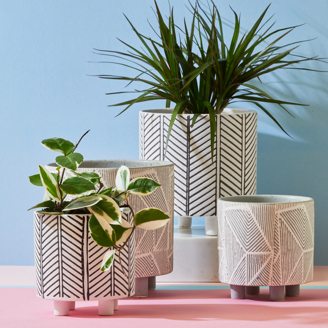 Geometric Planter Moss