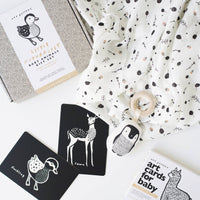 Little Naturalist Baby Animals Gift Set