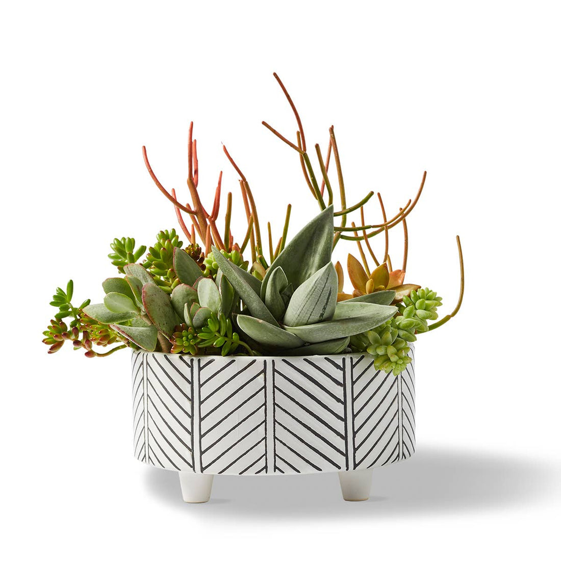 Geometric Planter Cloud Extra Large