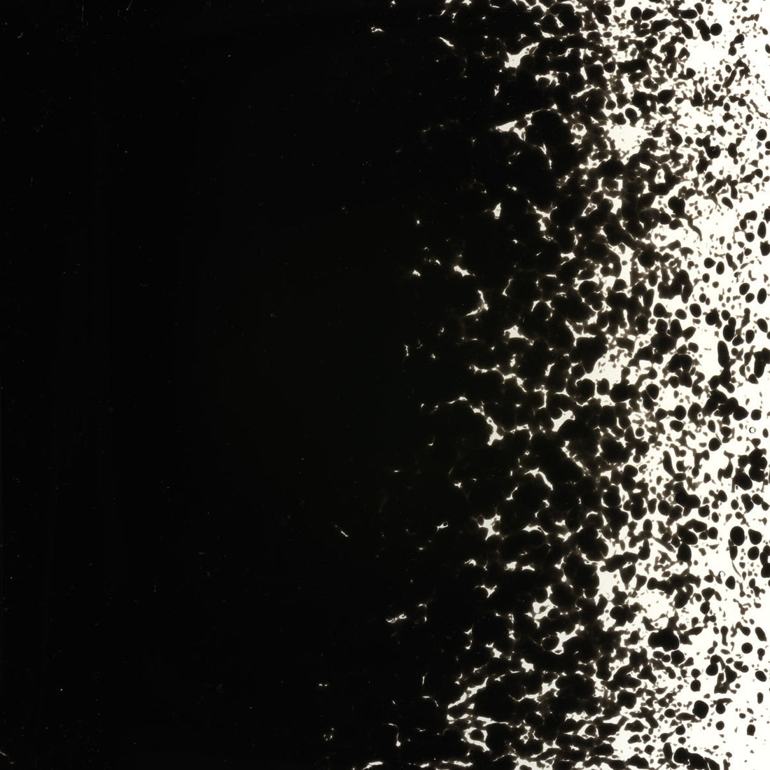 Bullseye Powder