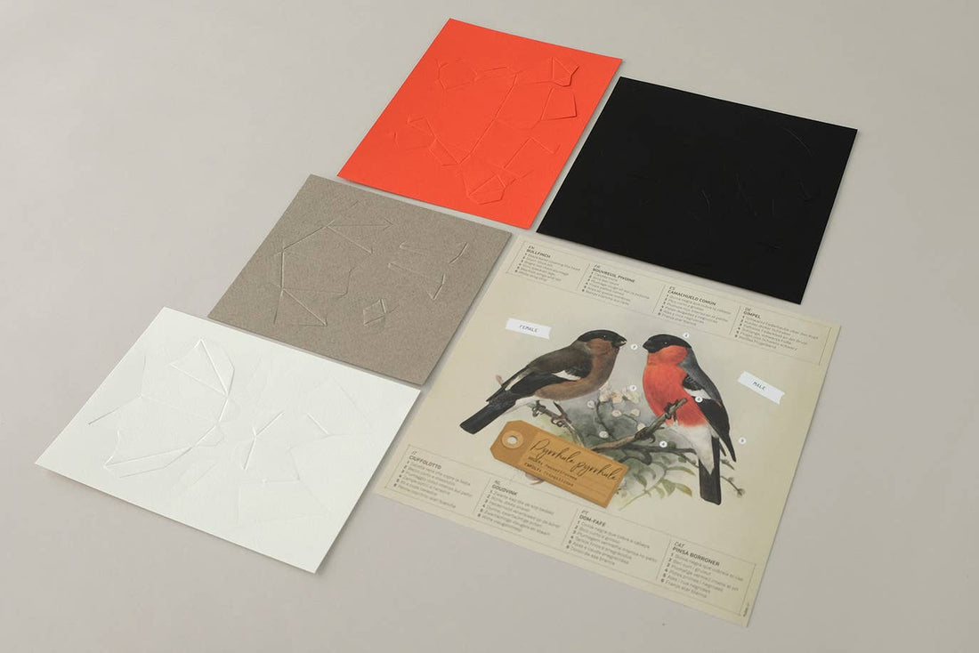 Bullfinch Bird 3D Paper Figure Kit