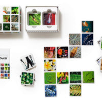 OuiSi Nature: Games of Visual Connection