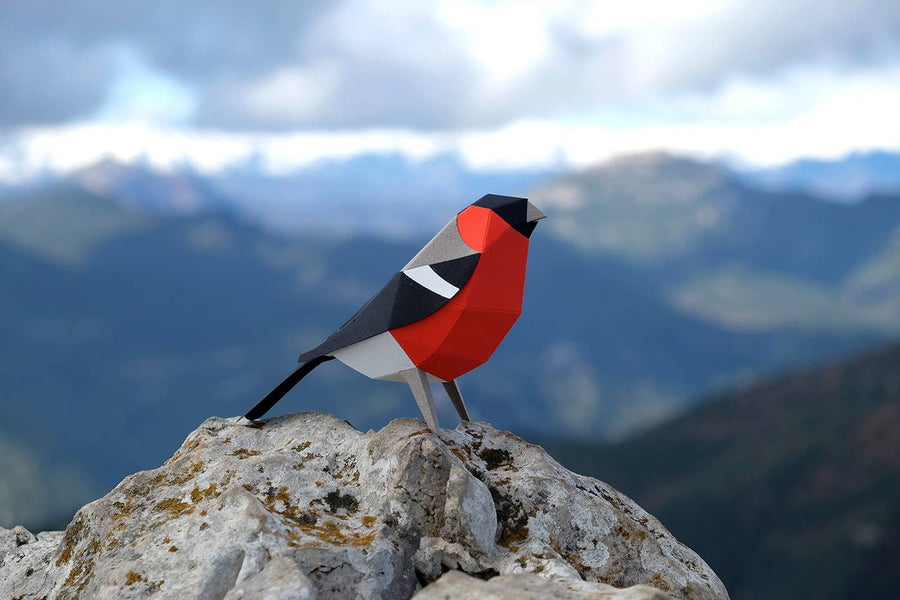 Bullfinch Bird 3D Paper Figure Kit
